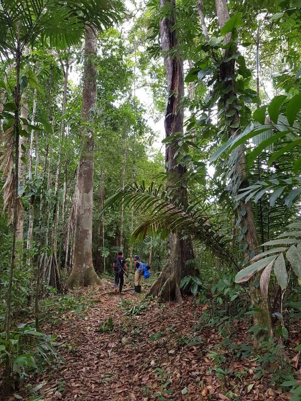 La Travesía del Istmo - Trekking de Selva - Foto 19