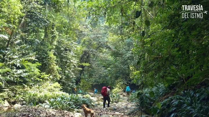 La Travesía del Istmo - Trekking de Selva - Foto 7