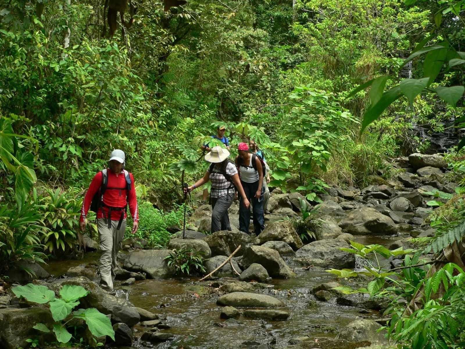 Senderismo – Hiking Day