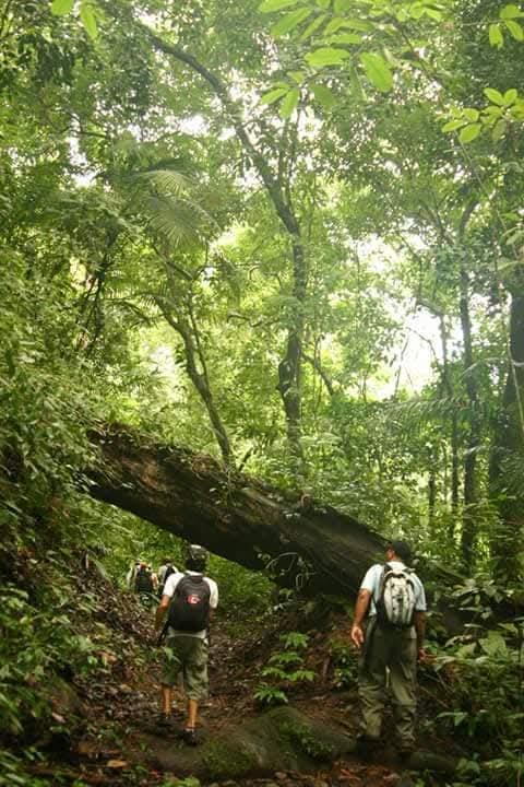 Camino de Cruces – Camino Colonial - Foto 5