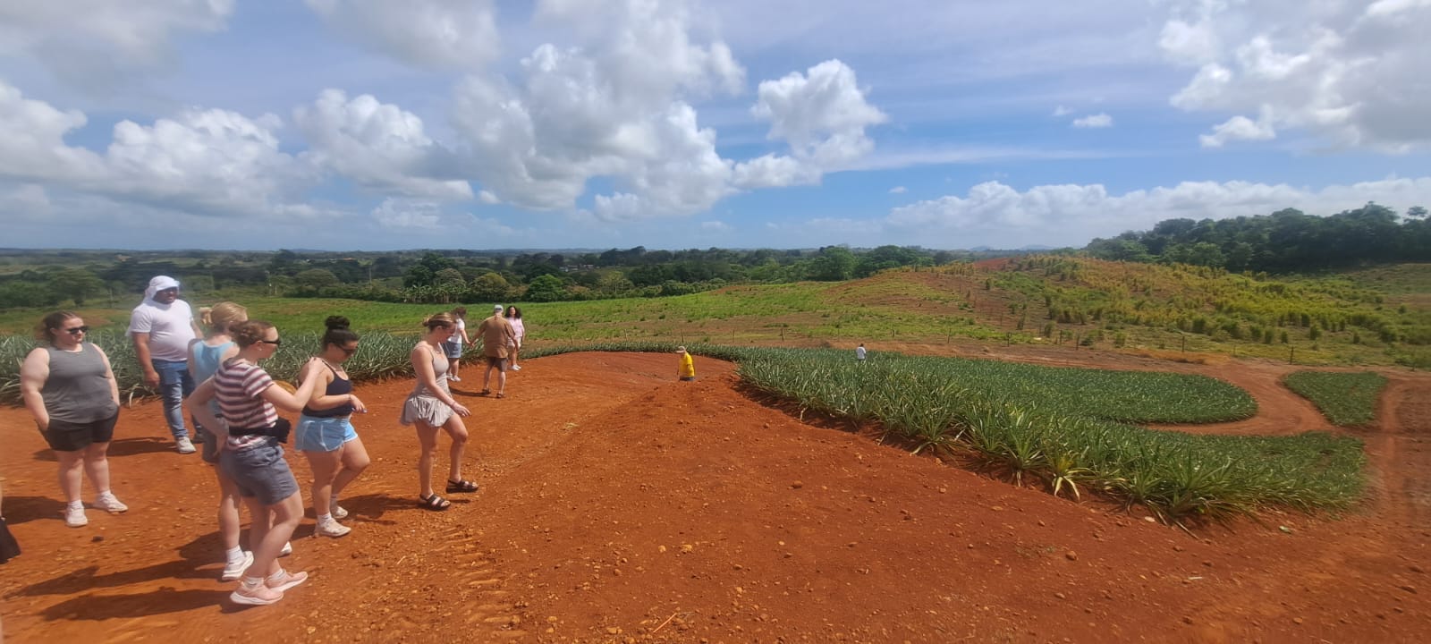 Agroturismo - Foto 5