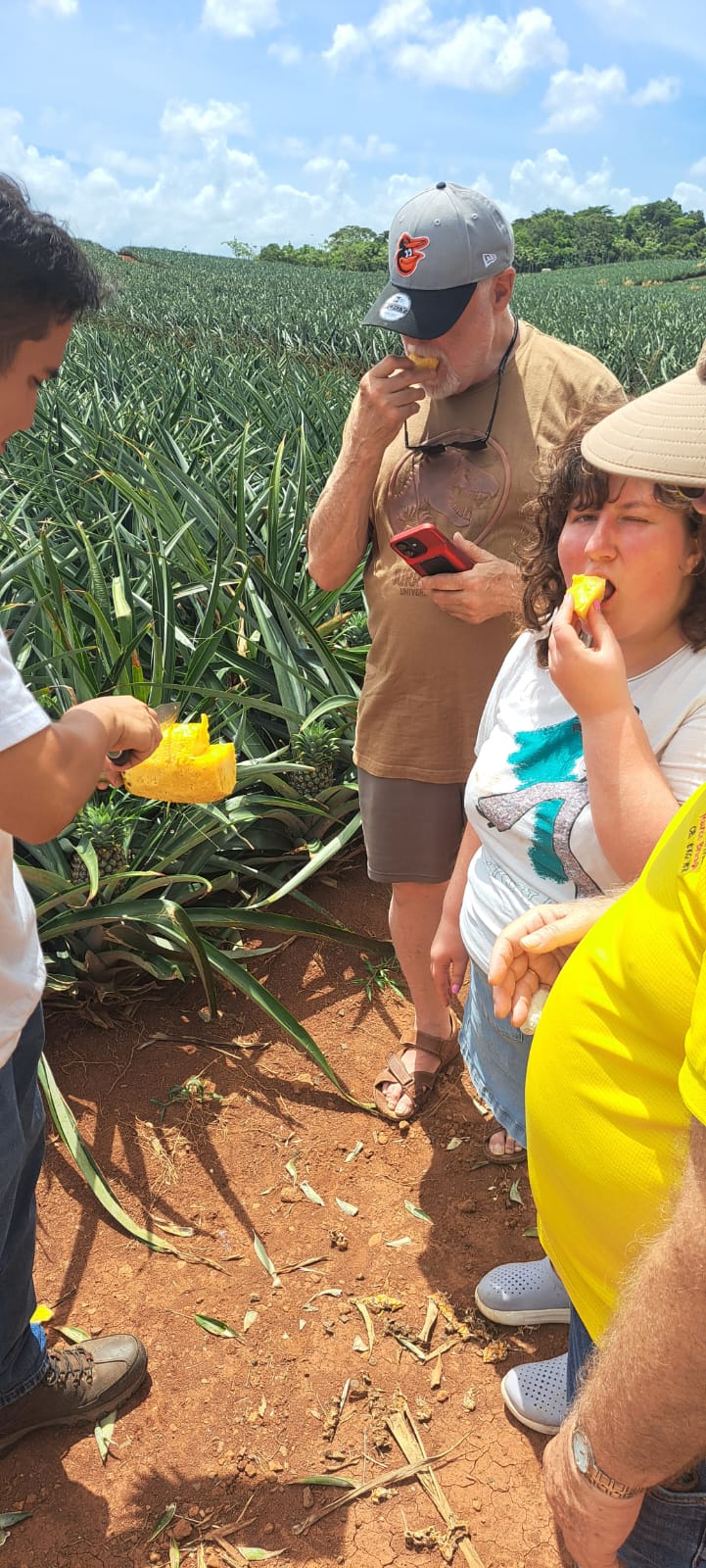 Agroturismo - Foto 6