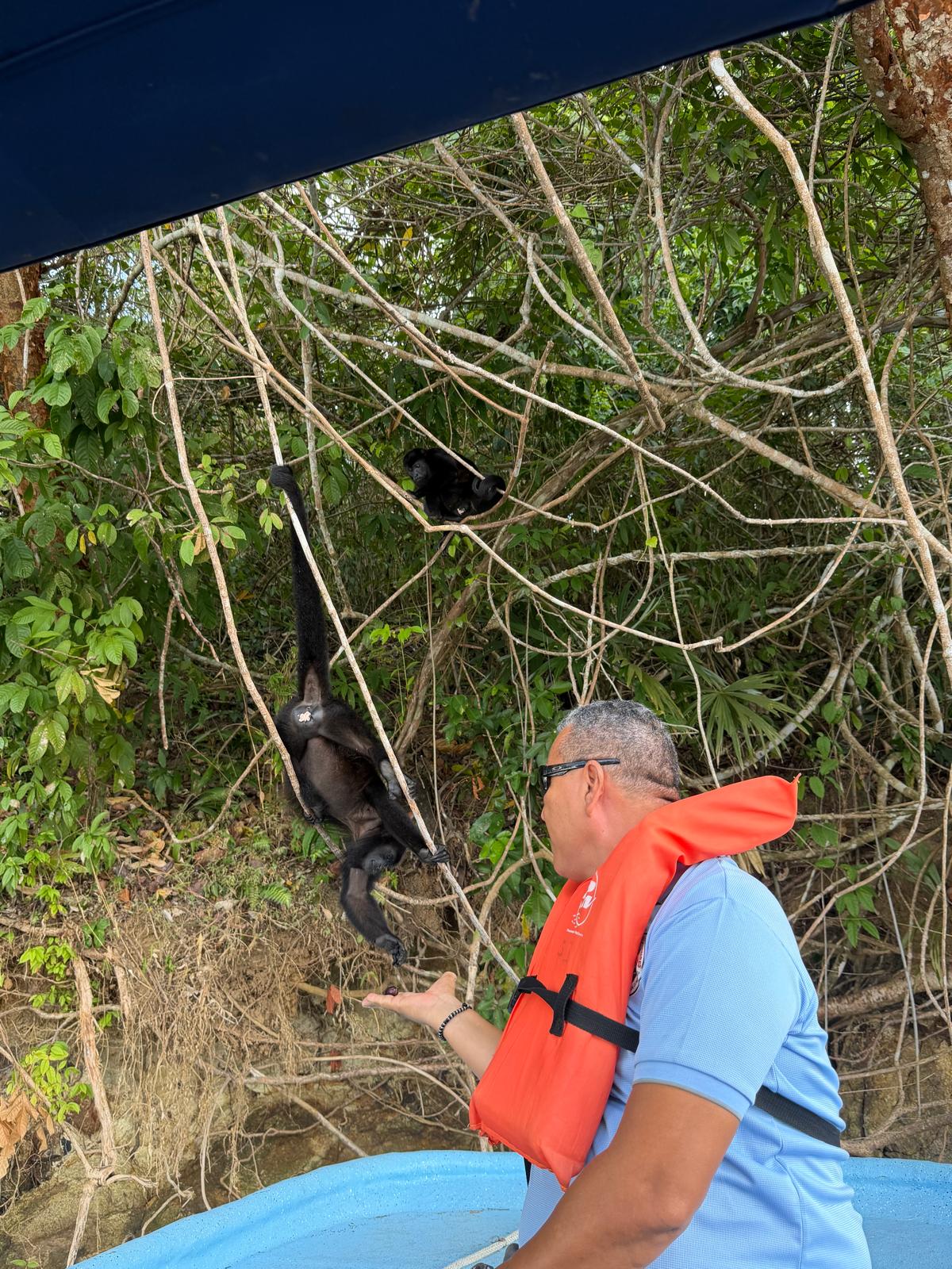 Recorrido Canal de Panama e Isla de los Monos, Lago Gatun - Foto 4